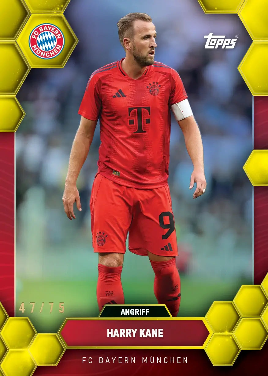 Topps FC Bayern Munchen Fan Set - 2024-25